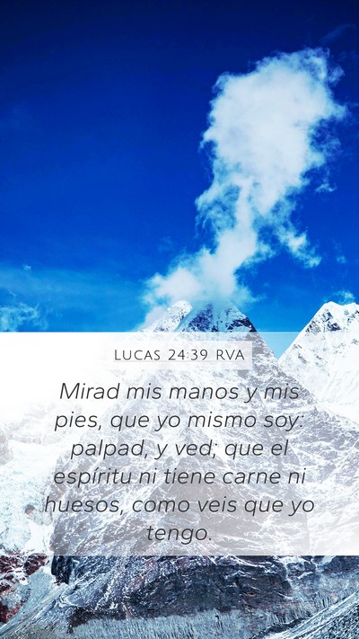 Lucas 24:39 RVA Bible Verse Image