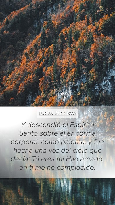 Lucas 3:22 RVA Bible Verse Image