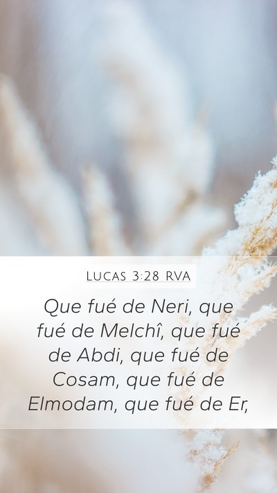 Lucas 3:28 RVA Mobile Phone Wallpaper - Que fué de Neri, que fué de Melchî, que fué - Mobile Bible Verse Wallpaper