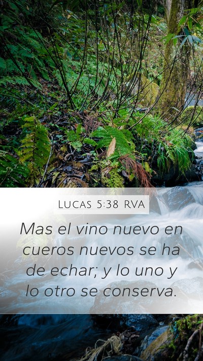 Lucas 5:38 RVA Mobile Phone Wallpaper - Mas el vino nuevo en cueros nuevos se ha de - Mobile Bible Verse Wallpaper