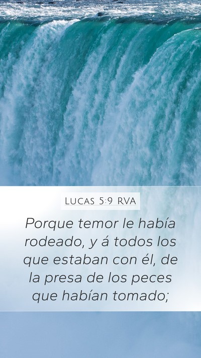 Lucas 5:9 RVA Bible Verse Image