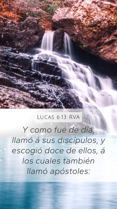 Lucas 6:13 RVA Bible Verse Image