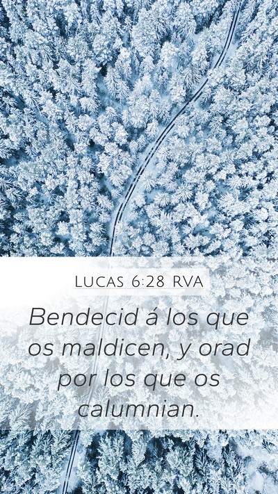Lucas 6:28 RVA Bible Verse Image
