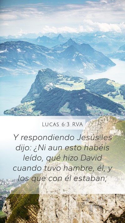 Lucas 6:3 RVA Mobile Phone Wallpaper - Y respondiendo Jesús les dijo: ¿Ni aun esto - Mobile Bible Verse Wallpaper