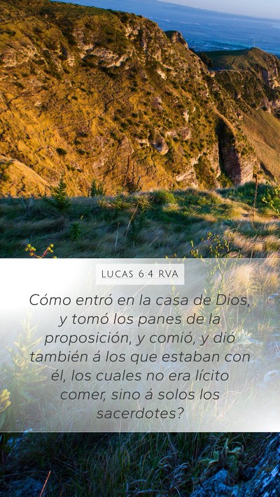 Lucas 6:4 RVA Mobile Phone Wallpaper - Cómo entró en la casa de Dios, y tomó los - Mobile Bible Verse Wallpaper
