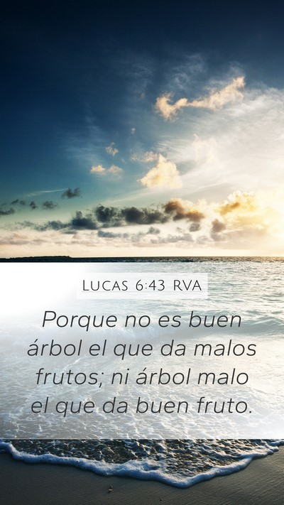 Lucas 6:43 RVA Bible Verse Image