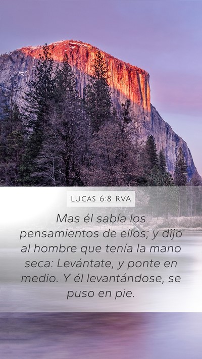 Lucas 6:8 RVA Bible Verse Image