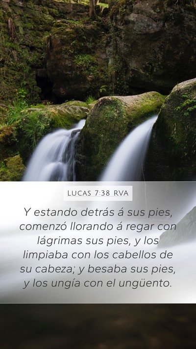 Lucas 7:38 RVA Mobile Phone Wallpaper - Y estando detrás á sus pies, comenzó llorando - Mobile Bible Verse Wallpaper