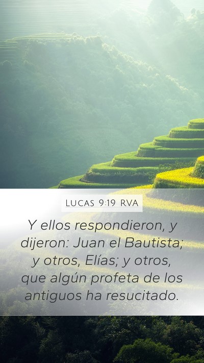 Lucas 9:19 RVA Bible Verse Image