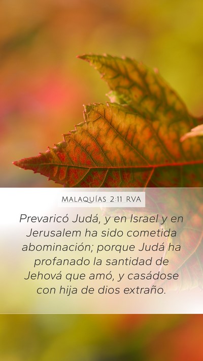 Malaquías 2:11 RVA Bible Verse Image