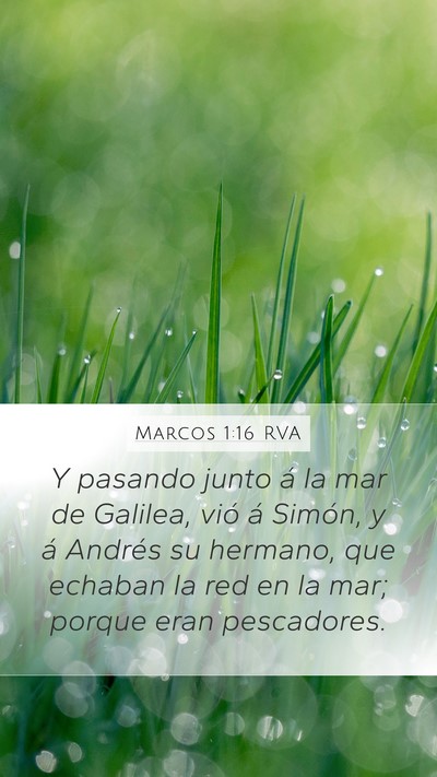 Marcos 1:16 RVA Bible Verse Image