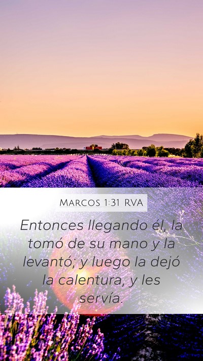 Marcos 1:31 RVA Bible Verse Image