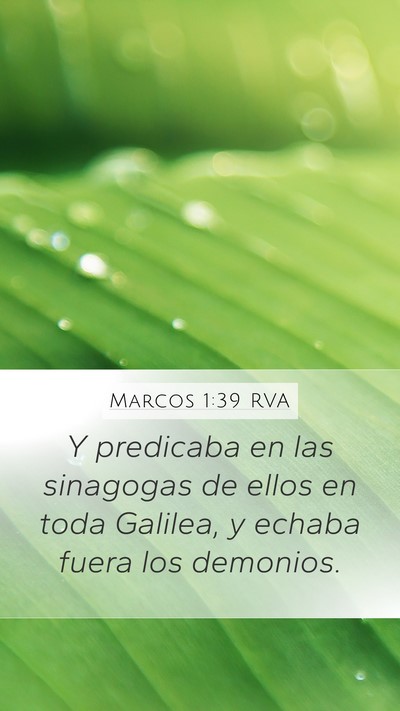 Marcos 1:39 RVA Bible Verse Image