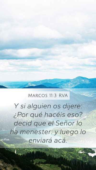 Marcos 11:3 RVA Mobile Phone Wallpaper - Y si alguien os dijere: ¿Por qué hacéis eso? - Mobile Bible Verse Wallpaper