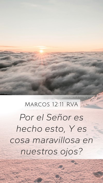 Marcos 12:11 RVA Bible Verse Image