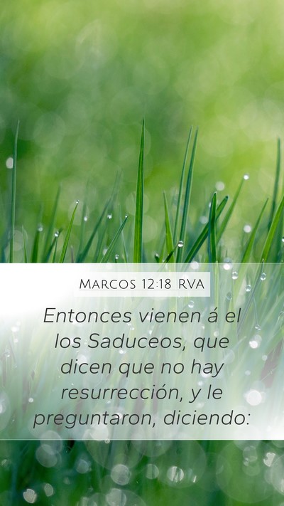 Marcos 12:18 RVA Bible Verse Image