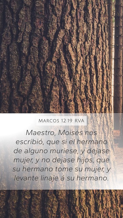 Marcos 12:19 RVA Bible Verse Image