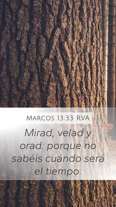 Marcos 13:33 RVA Bible Verse Image