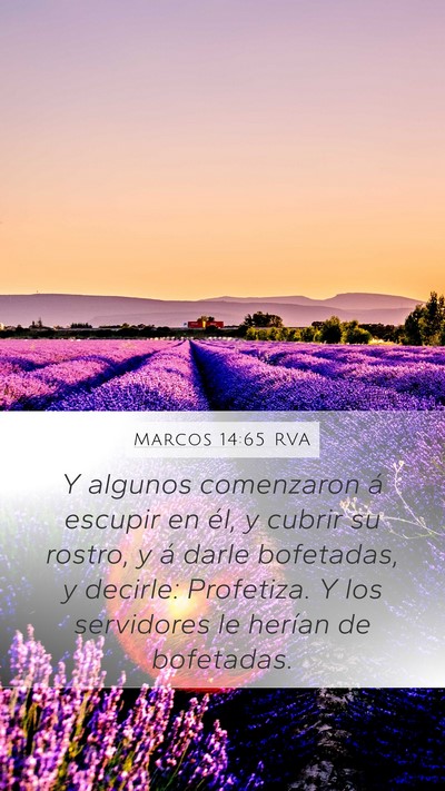 Marcos 14:65 RVA Bible Verse Image