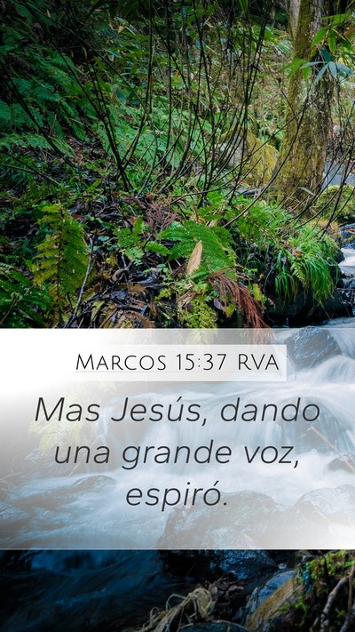 Marcos 15:37 RVA Bible Verse Image