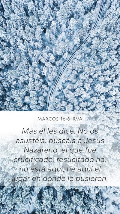 Marcos 16:6 RVA Bible Verse Image