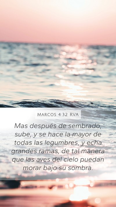 Marcos 4:32 RVA Bible Verse Image
