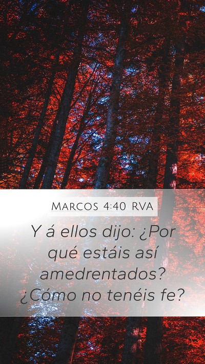 Marcos 4:40 RVA Bible Verse Image