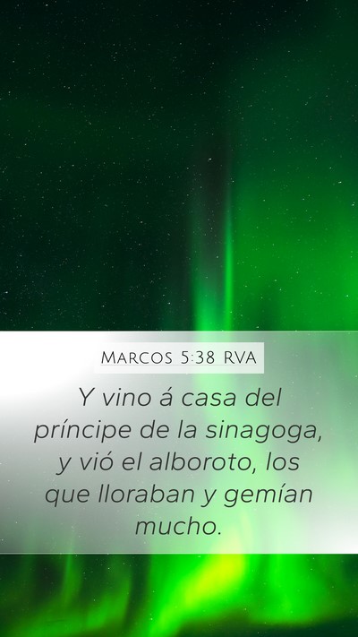 Marcos 5:38 RVA Mobile Phone Wallpaper - Y vino á casa del príncipe de la sinagoga, y - Mobile Bible Verse Wallpaper