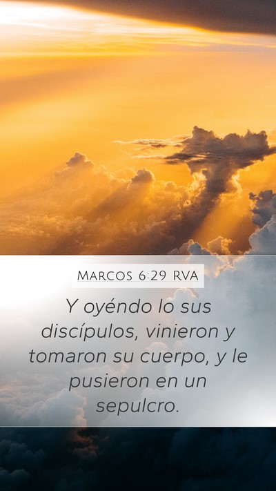Marcos 6:29 RVA Mobile Phone Wallpaper - Y oyéndo lo sus discípulos, vinieron y tomaron - Mobile Bible Verse Wallpaper