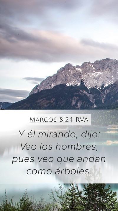 Marcos 8:24 RVA Bible Verse Image