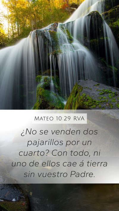 Mateo 10:29 RVA Bible Verse Image