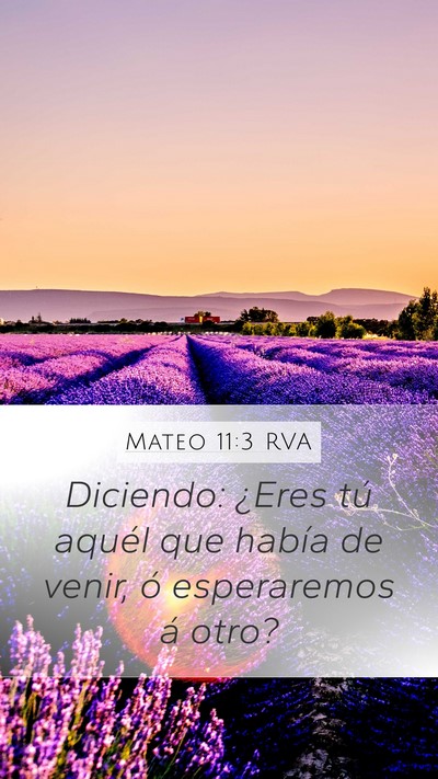 Mateo 11:3 RVA Bible Verse Image