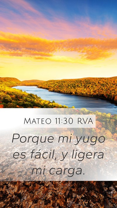 Mateo 11:30 RVA Mobile Phone Wallpaper - Porque mi yugo es fácil, y ligera mi - Mobile Bible Verse Wallpaper