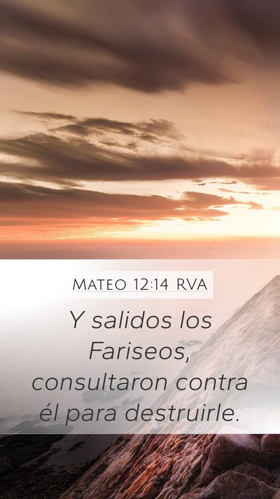 Mateo 12:14 RVA Bible Verse Image