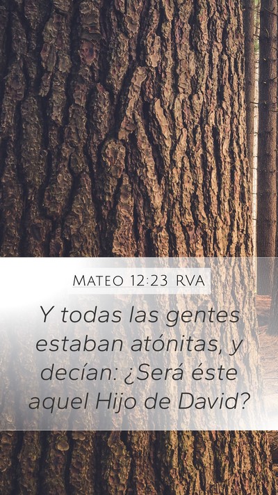 Mateo 12:23 RVA Bible Verse Image
