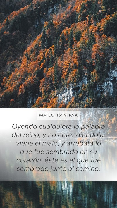 Mateo 13:19 RVA Bible Verse Image