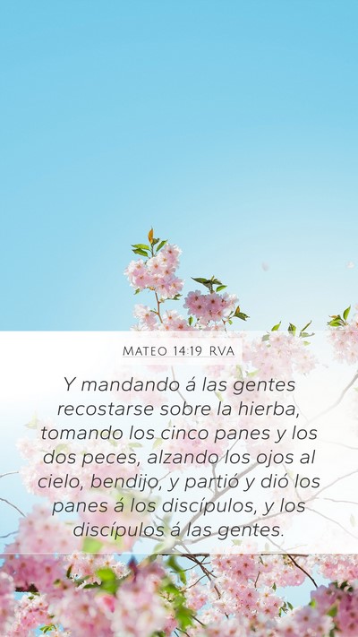 Mateo 14:19 RVA Bible Verse Image