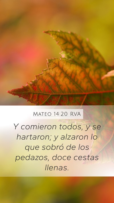 Mateo 14:20 RVA Bible Verse Image