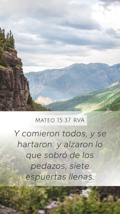 Mateo 15:37 RVA Bible Verse Image