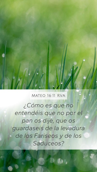 Mateo 16:11 RVA Mobile Phone Wallpaper - ¿Cómo es que no entendéis que no por el pan os - Mobile Bible Verse Wallpaper