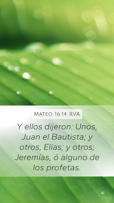 Mateo 16:14 RVA Bible Verse Image