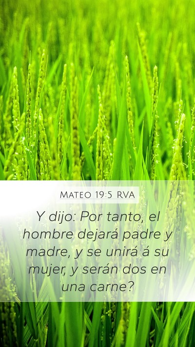 Mateo 19:5 RVA Mobile Phone Wallpaper - Y dijo: Por tanto, el hombre dejará padre y - Mobile Bible Verse Wallpaper