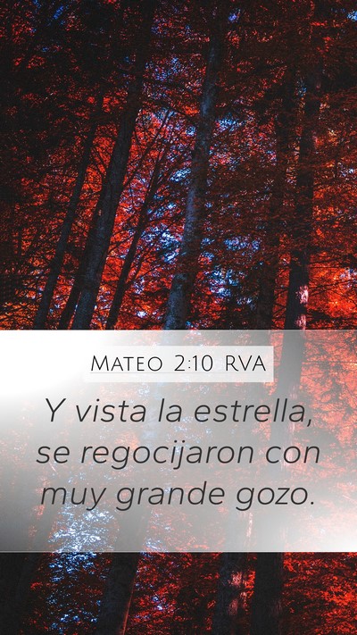 Mateo 2:10 RVA Mobile Phone Wallpaper - Y vista la estrella, se regocijaron con muy - Mobile Bible Verse Wallpaper