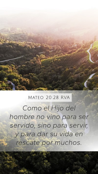 Mateo 20:28 RVA Bible Verse Image