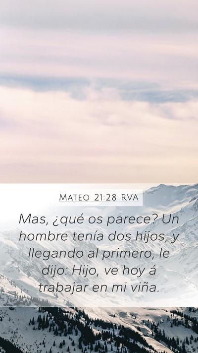 Mateo 21:28 RVA Bible Verse Image