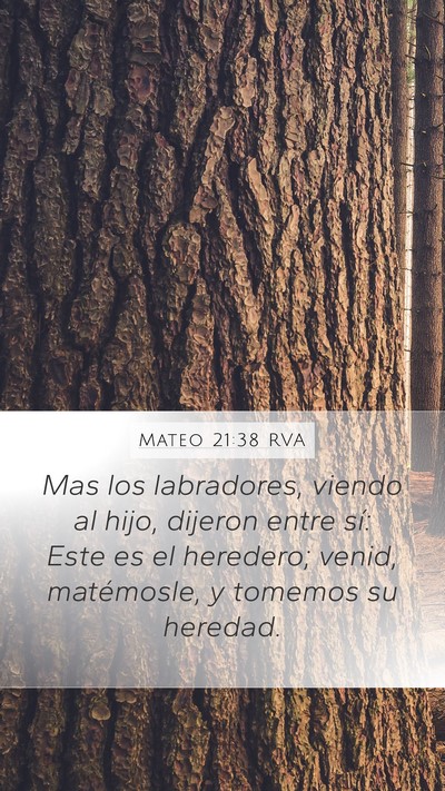 Mateo 21:38 RVA Bible Verse Image