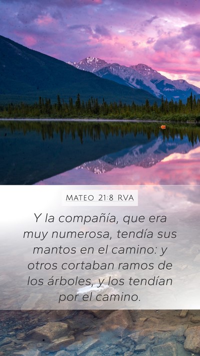 Mateo 21:8 RVA Mobile Phone Wallpaper - Y la compañía, que era muy numerosa, tendía - Mobile Bible Verse Wallpaper