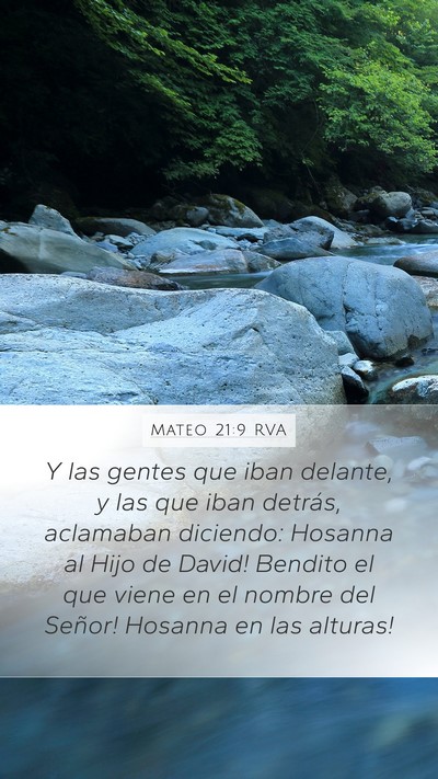 Mateo 21:9 RVA Bible Verse Image