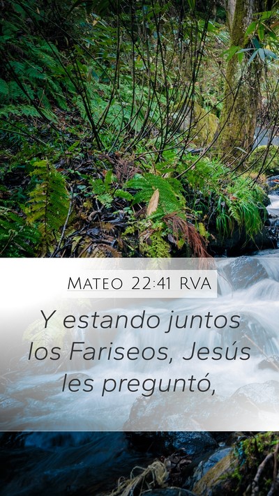 Mateo 22:41 RVA Mobile Phone Wallpaper - Y estando juntos los Fariseos, Jesús les - Mobile Bible Verse Wallpaper