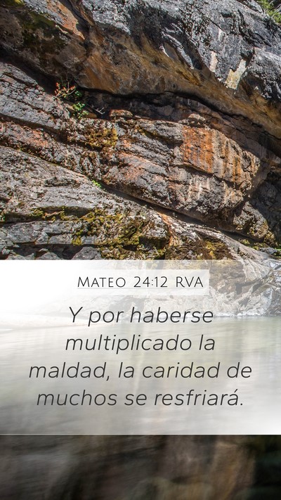 Mateo 24:12 RVA Bible Verse Image